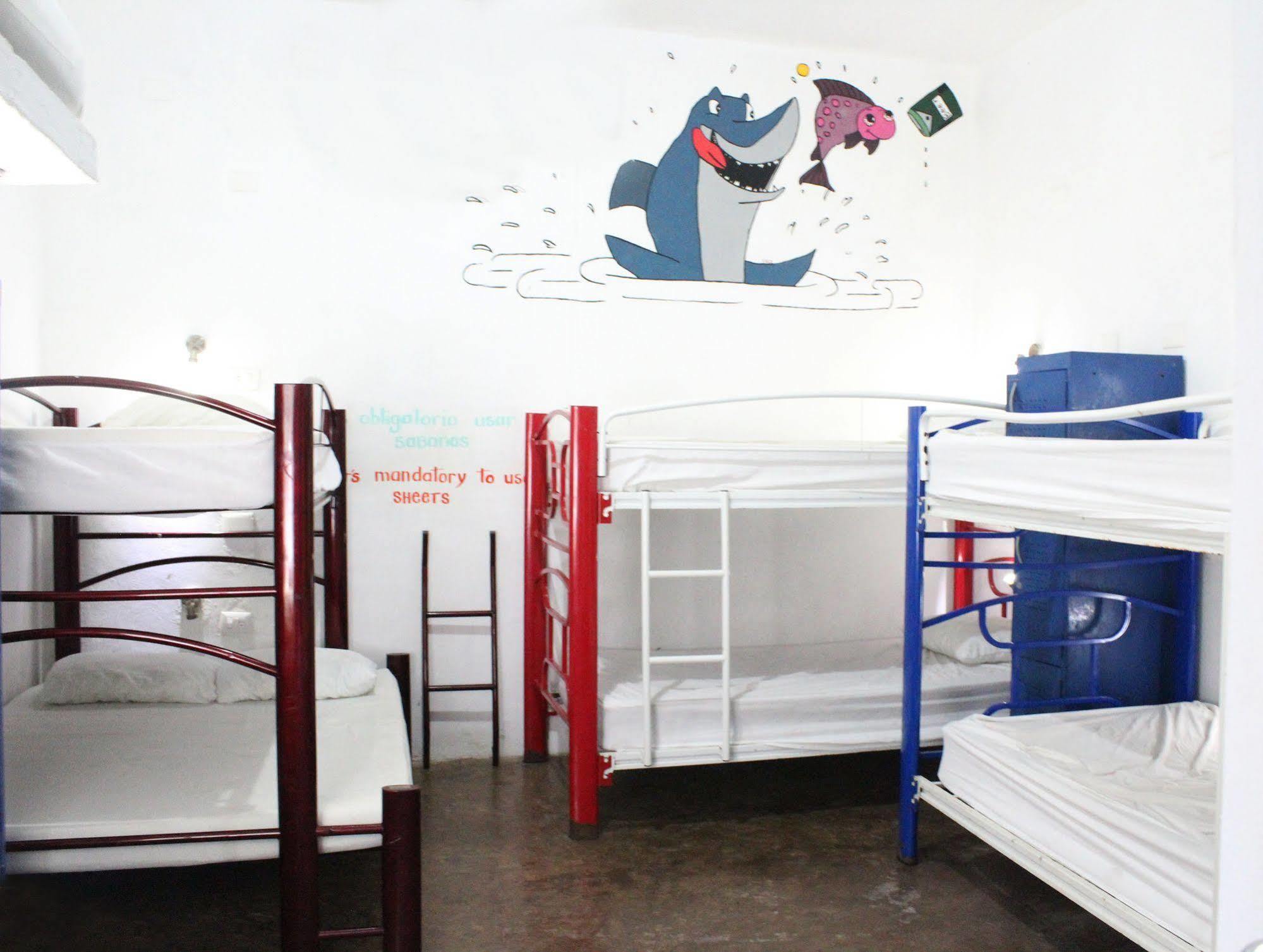 Hostal Vive La Vida Плая-дель-Кармен Экстерьер фото